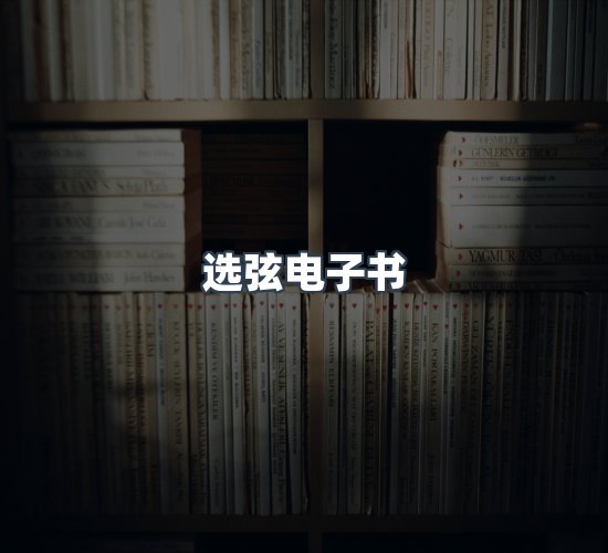 关于选弦电子书